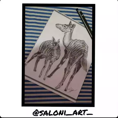 artist-saloni-grawal-4