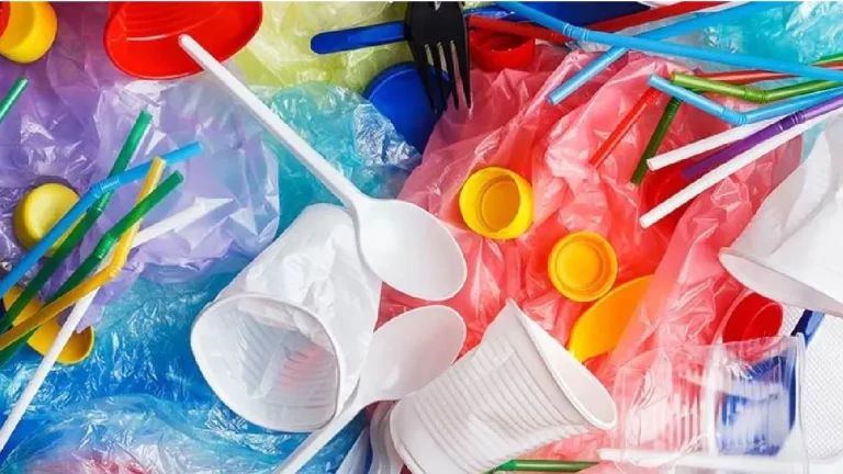 single-use-plastic-has-been-banned-in-the-state-from-july-1