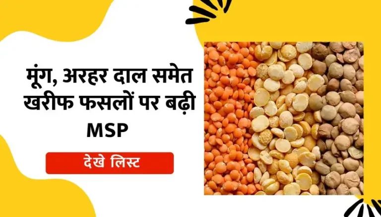 msp-increased-on-kharif-crops-see-list